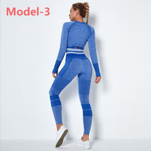 Load image into Gallery viewer, Women Seamless Gym Sets High Waist Gym Mesh Leggings Shirts Suit Long Sleeve Fitness Workout Sports Running Thin Sport Sets